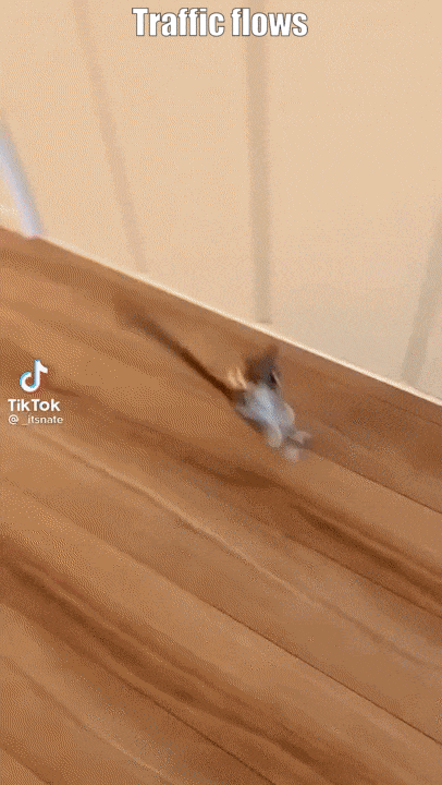 The Juniper FPC when ddos-protection detects a violation